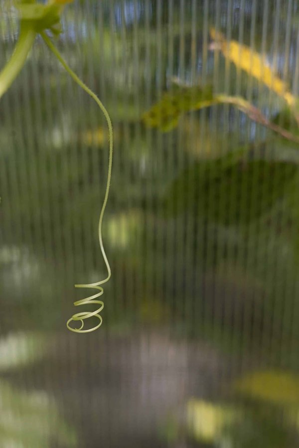 Est-il possible d'adapter une voiture pour des besoins spécifiques en audio pour les mélomanes ?